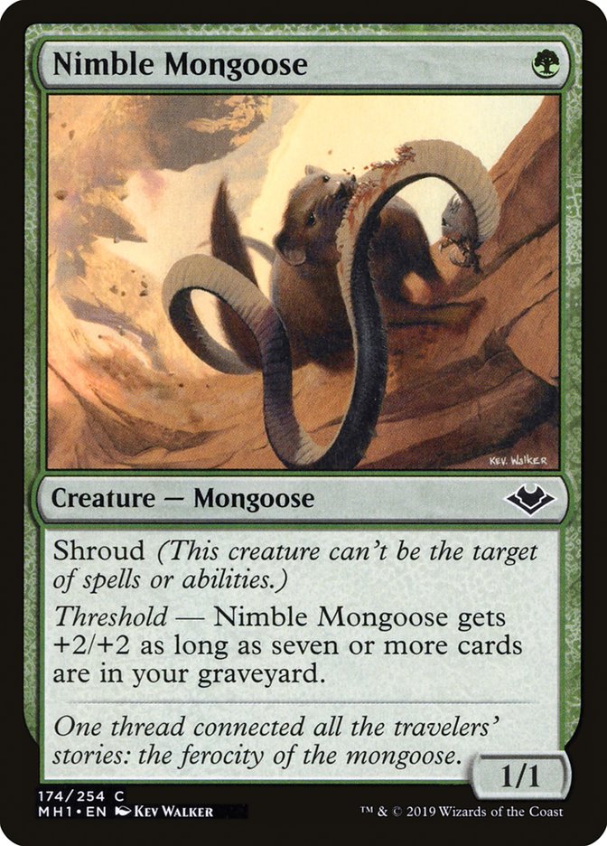 Nimble Mongoose [Modern Horizons] | Exor Games Truro