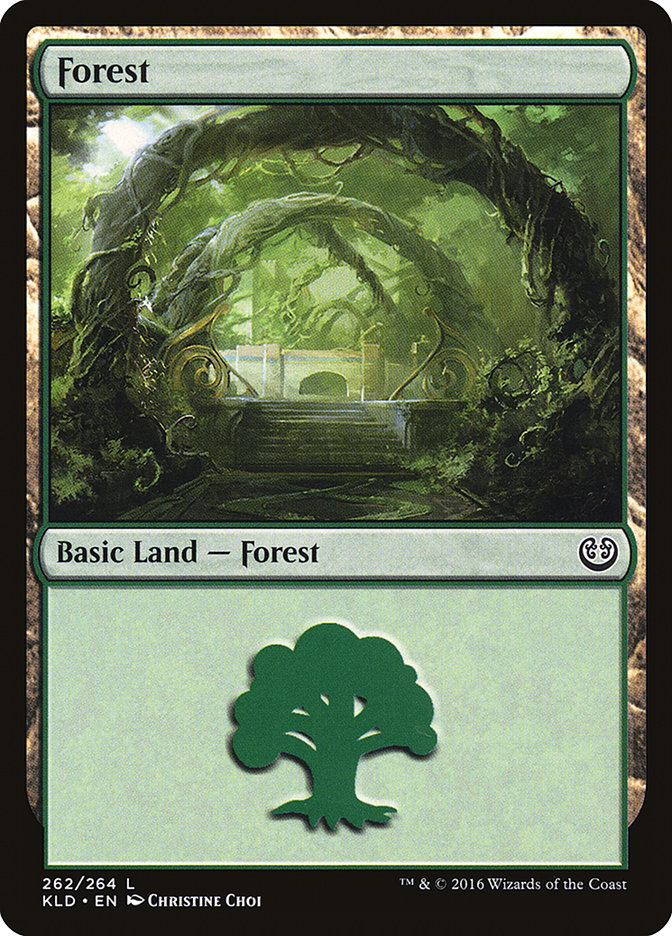 Forest (262) [Kaladesh] | Exor Games Truro