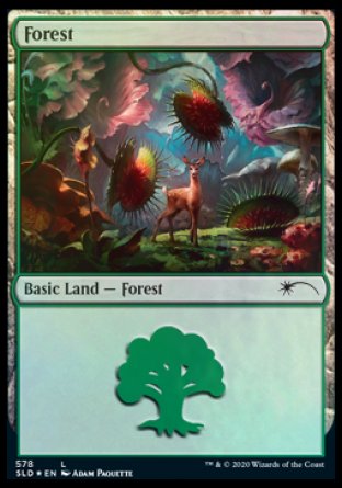 Forest (Predatory) (578) [Secret Lair Drop Promos] | Exor Games Truro