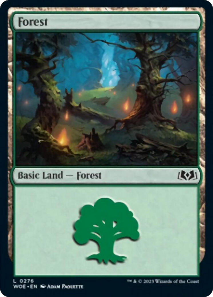 Forest (0276) [Wilds of Eldraine] | Exor Games Truro