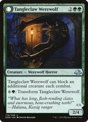 Tangleclaw Werewolf // Fibrous Entangler [Eldritch Moon] | Exor Games Truro