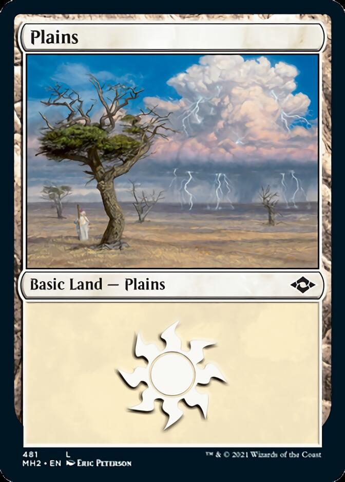 Plains (481) (Foil Etched) [Modern Horizons 2] | Exor Games Truro