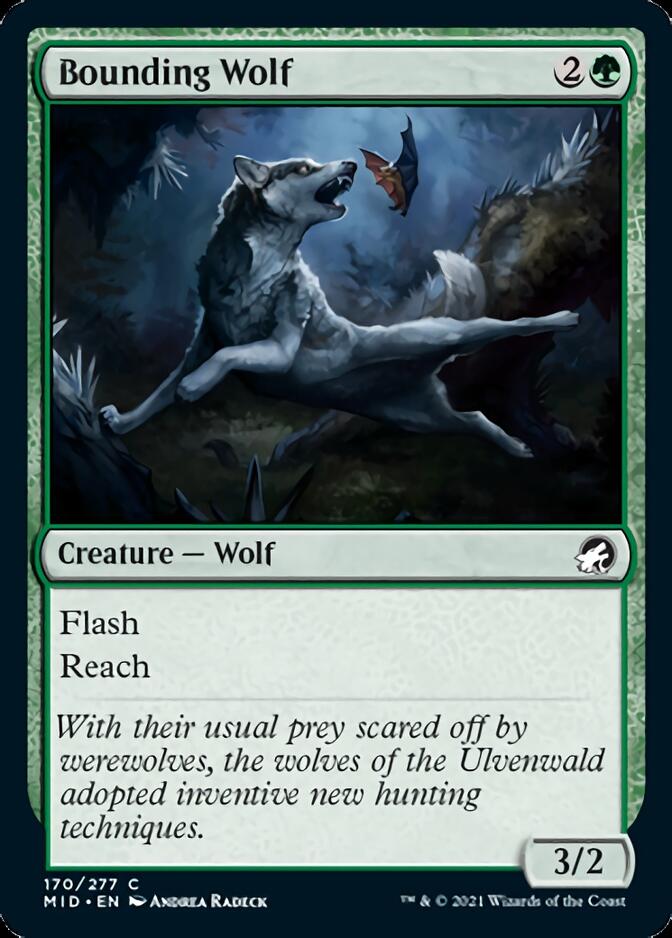 Bounding Wolf [Innistrad: Midnight Hunt] | Exor Games Truro