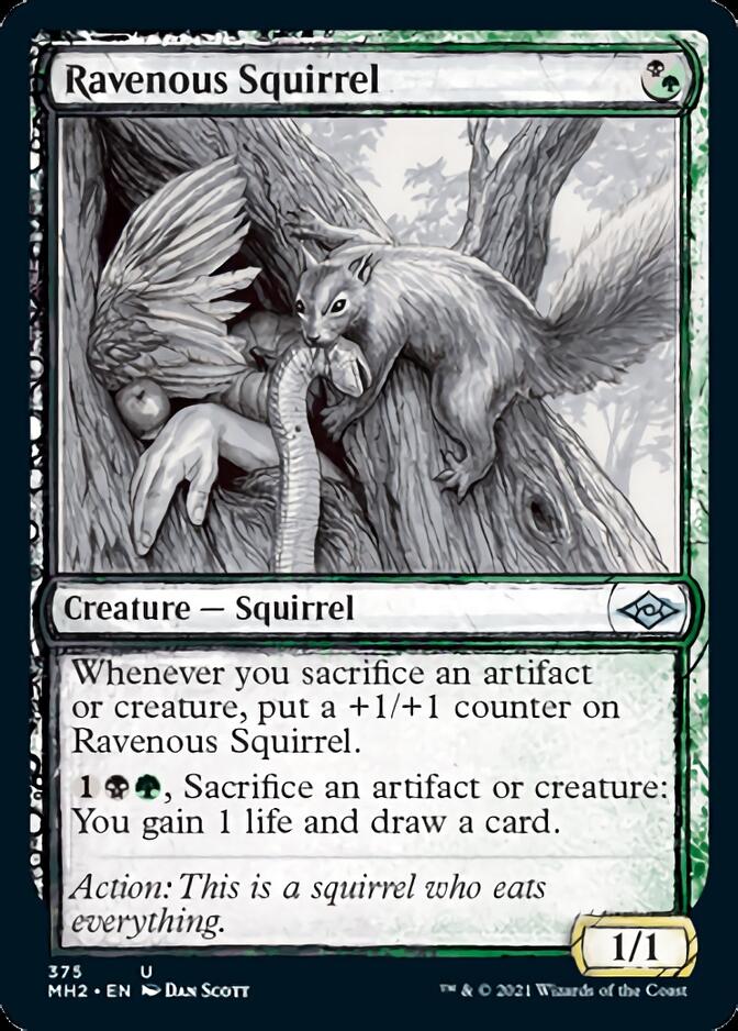 Ravenous Squirrel (Sketch) [Modern Horizons 2] | Exor Games Truro