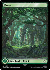 Forest (0109) [Assassin's Creed] | Exor Games Truro