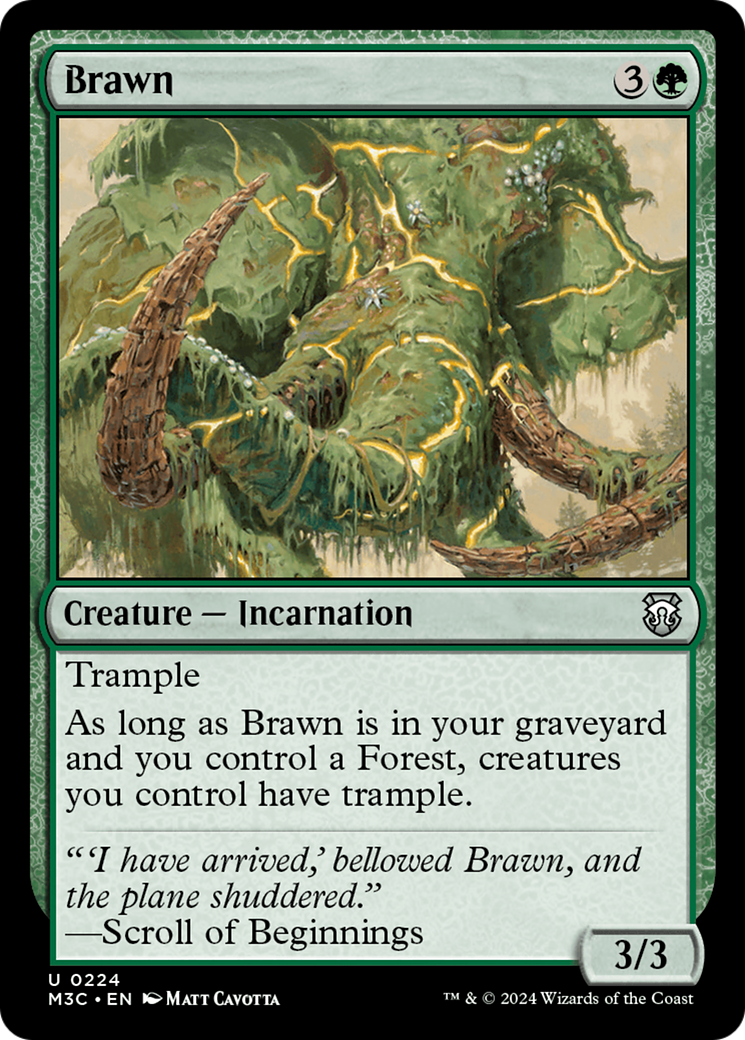 Brawn [Modern Horizons 3 Commander] | Exor Games Truro