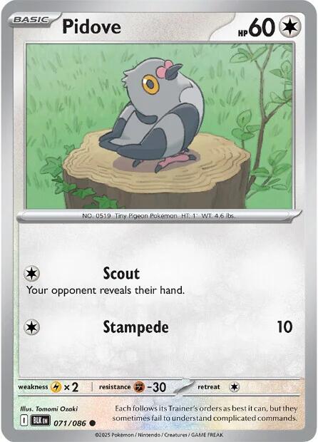 Pidove (071/086) [Scarlet & Violet: Black Bolt] | Exor Games Truro