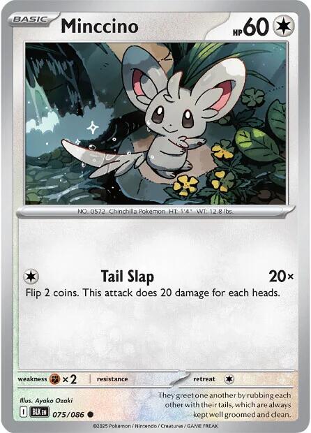 Minccino (075/086) [Scarlet & Violet: Black Bolt] | Exor Games Truro