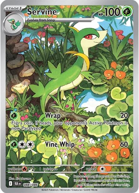 Servine (088/086) [Scarlet & Violet: Black Bolt] | Exor Games Truro