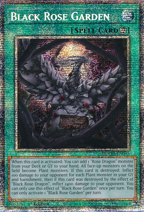 Black Rose Garden (Starlight Rare) [DOOD-EN055] Starlight Rare | Exor Games Truro