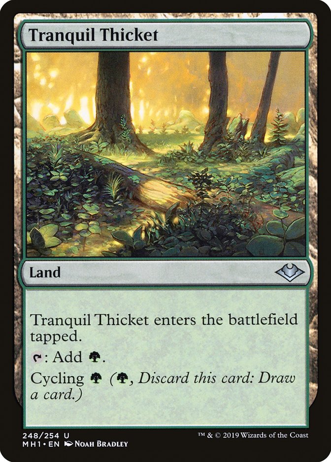 Tranquil Thicket [Modern Horizons] | Exor Games Truro