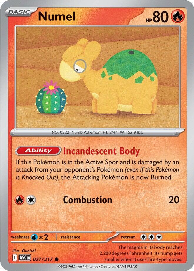 Numel (027/217) [Mega Evolution: Ascended Heroes] | Exor Games Truro