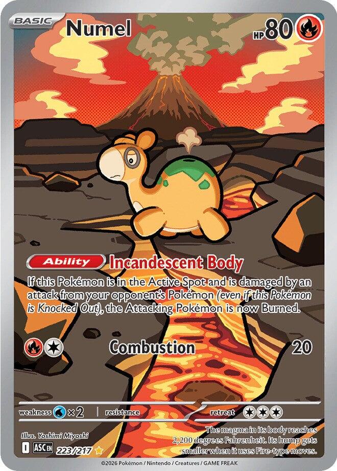 Numel (223/217) [Mega Evolution: Ascended Heroes] | Exor Games Truro
