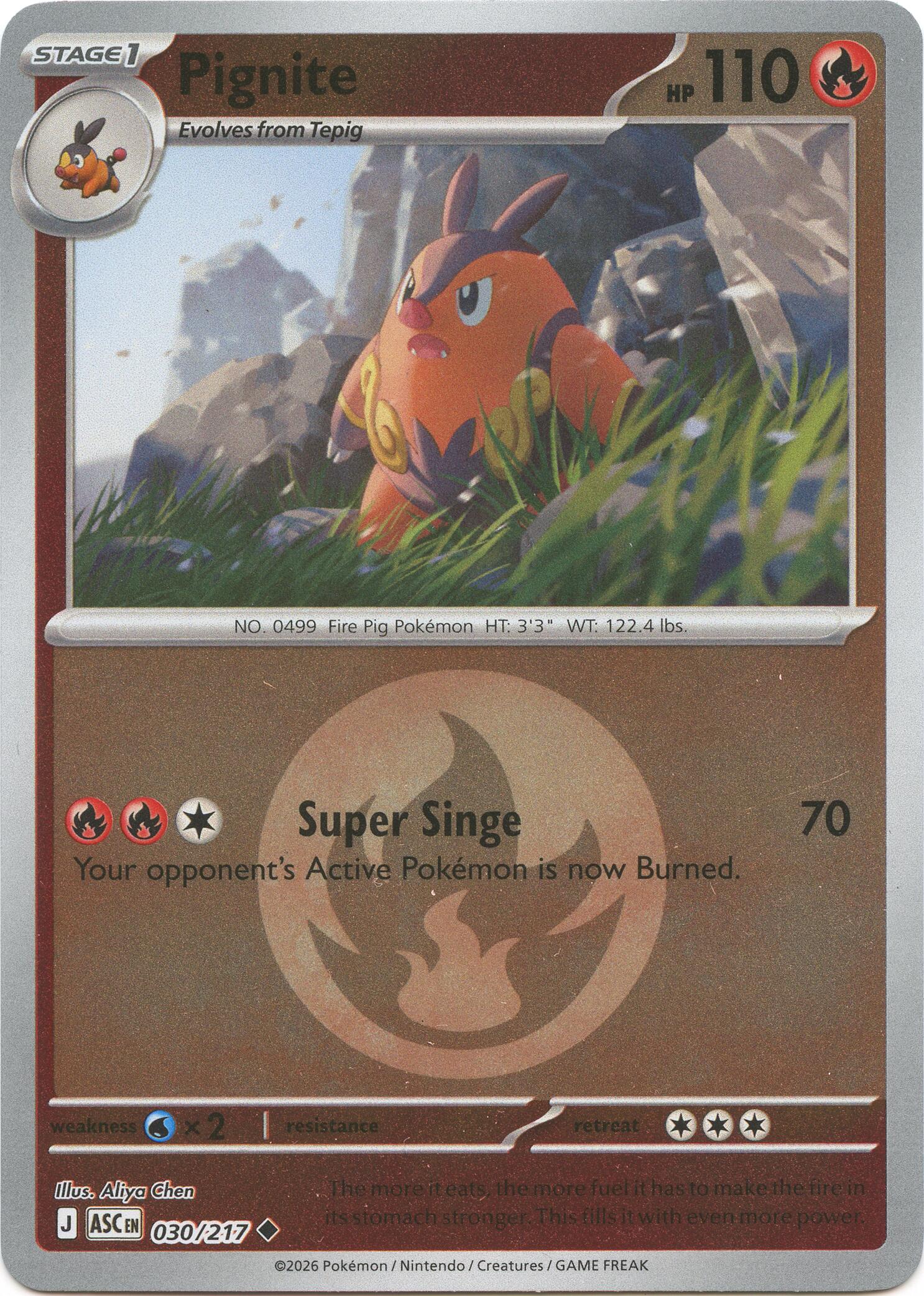 Pignite (030/217) (Energy Symbol Pattern) [Mega Evolution: Ascended Heroes] | Exor Games Truro