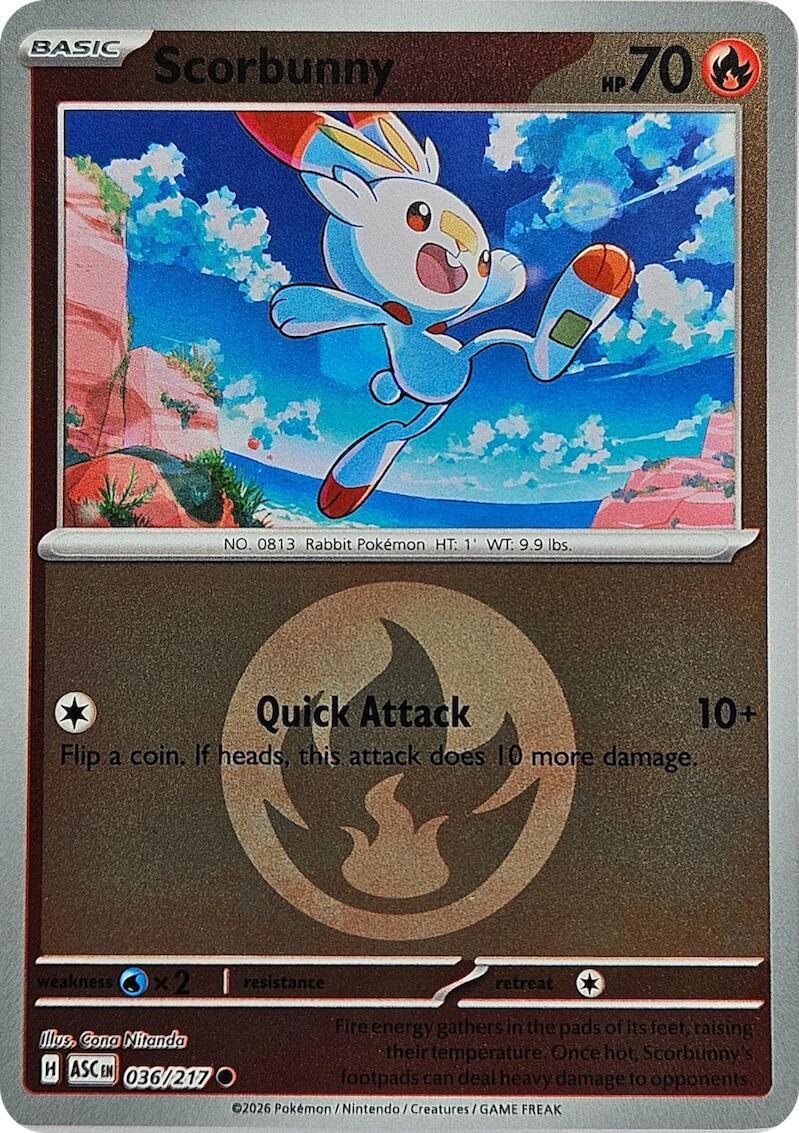 Scorbunny (036/217) (Energy Symbol Pattern) [Mega Evolution: Ascended Heroes] | Exor Games Truro