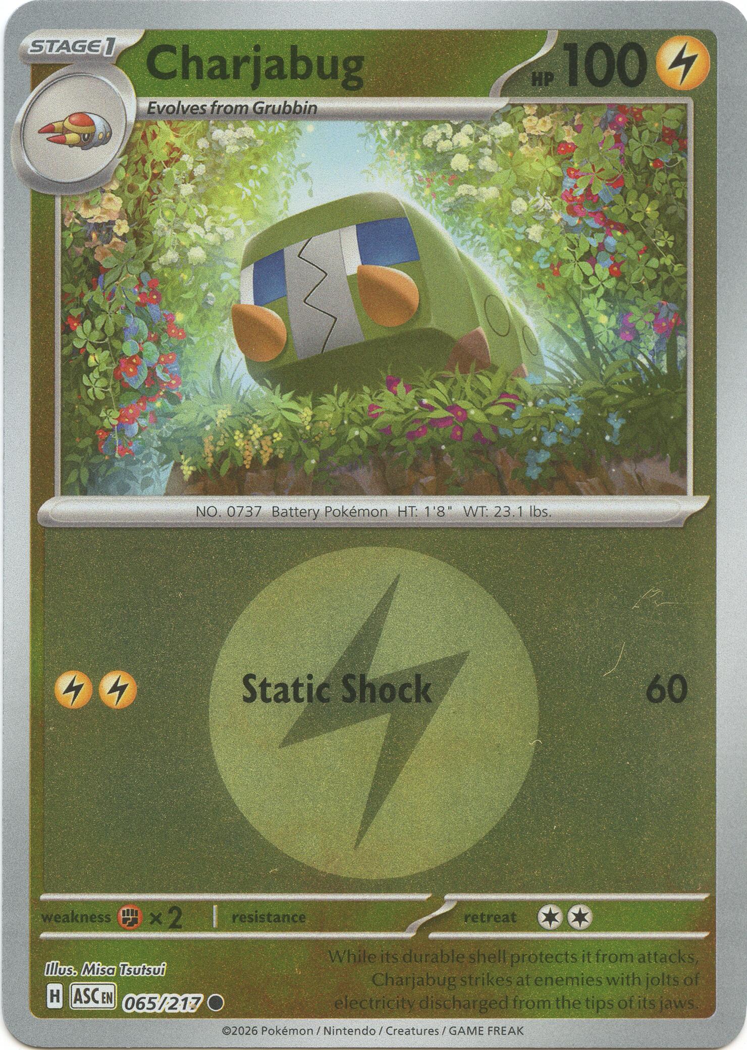 Charjabug (065/217) (Energy Symbol Pattern) [Mega Evolution: Ascended Heroes] | Exor Games Truro