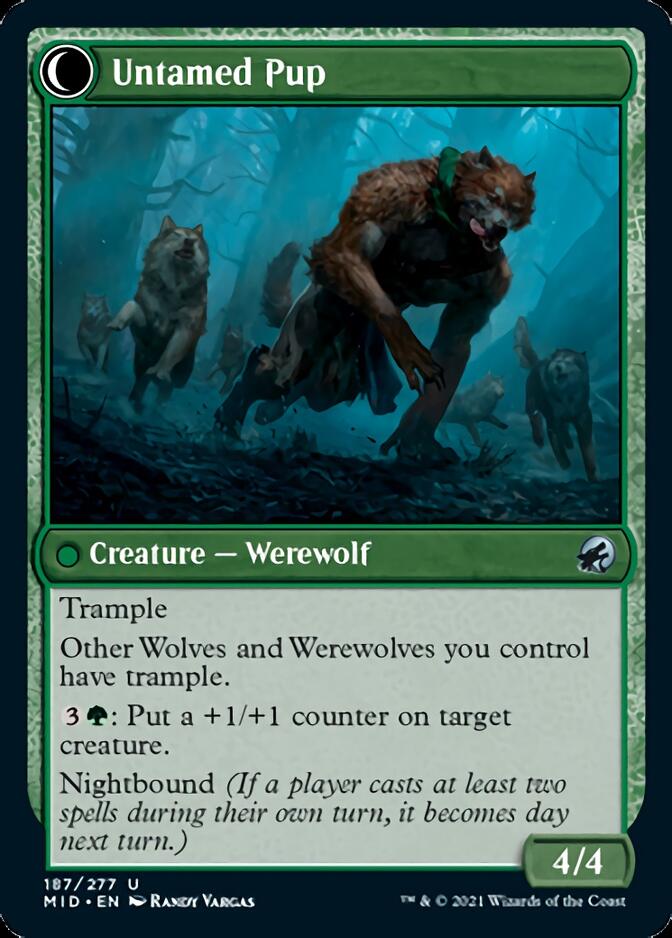Hound Tamer // Untamed Pup [Innistrad: Midnight Hunt] | Exor Games Truro