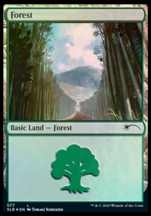 Forest (Walls) (577) [Secret Lair Drop Promos] | Exor Games Truro