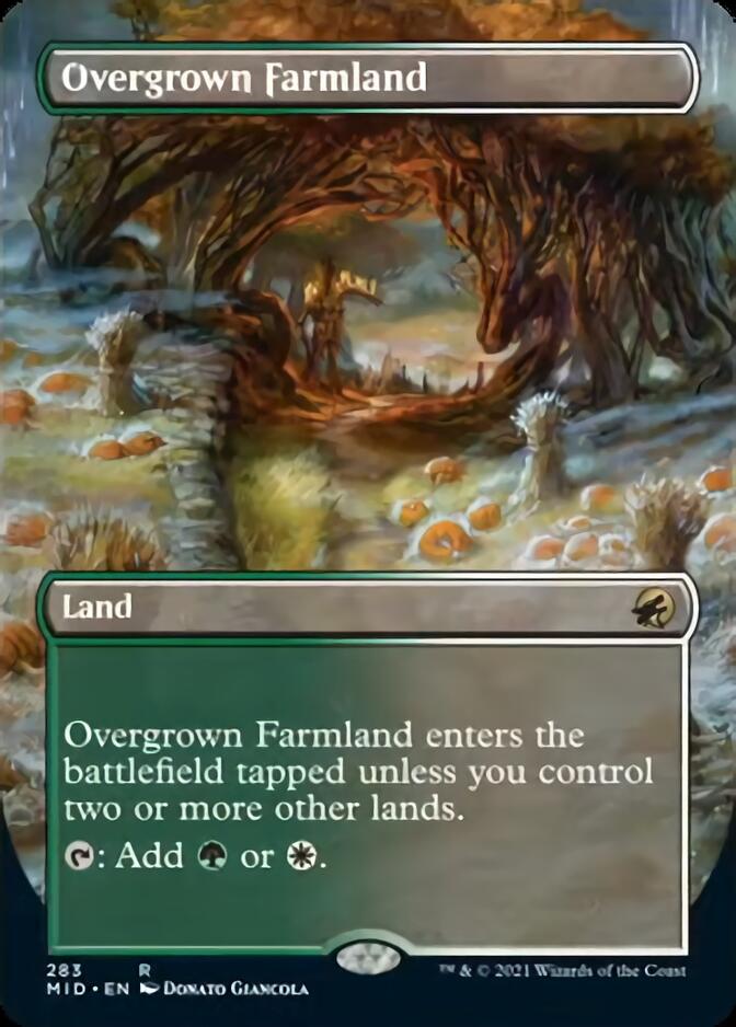 Overgrown Farmland (Borderless Alternate Art) [Innistrad: Midnight Hunt] | Exor Games Truro