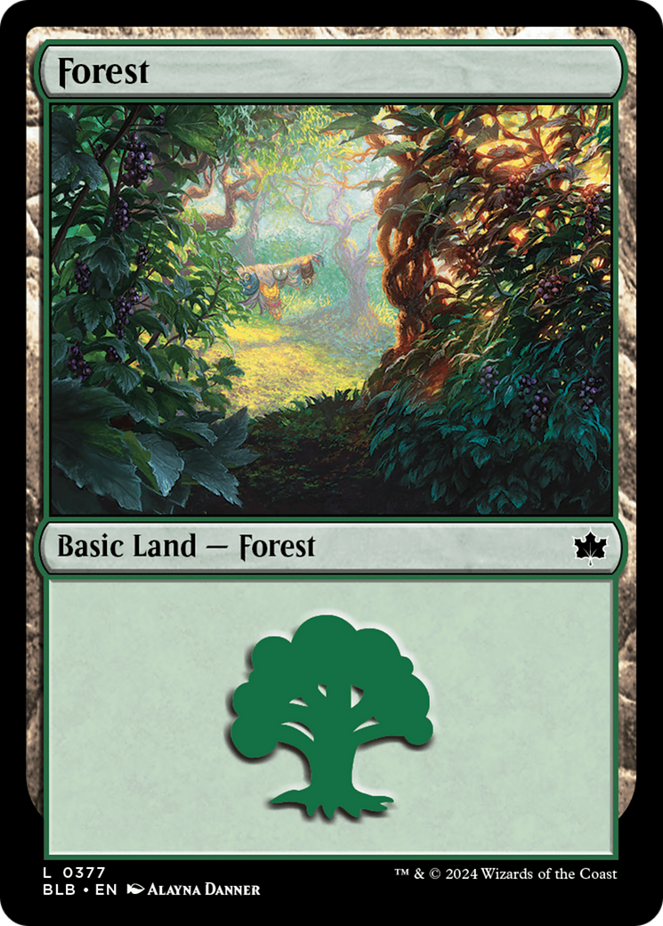 Forest (0377) [Bloomburrow] | Exor Games Truro