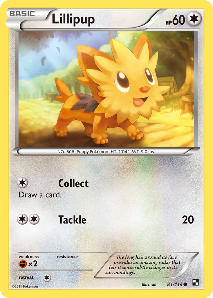 Lillipup (81/114) [Black & White: Base Set] | Exor Games Truro
