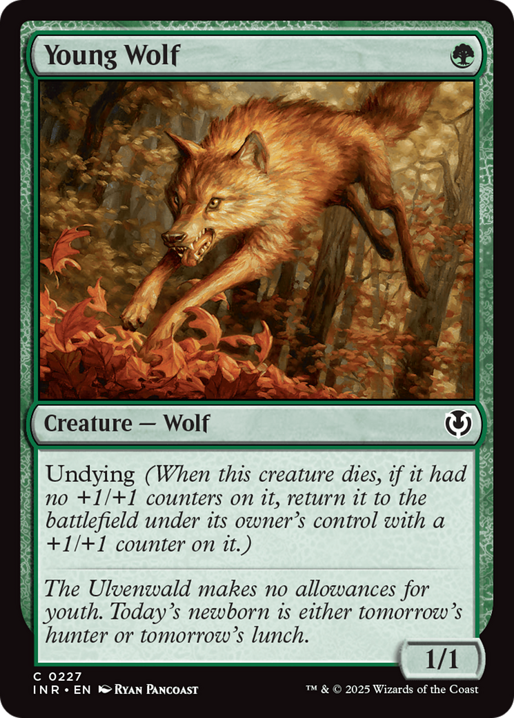 Young Wolf [Innistrad Remastered] | Exor Games Truro