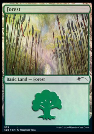 Forest (Elves) (579) [Secret Lair Drop Promos] | Exor Games Truro