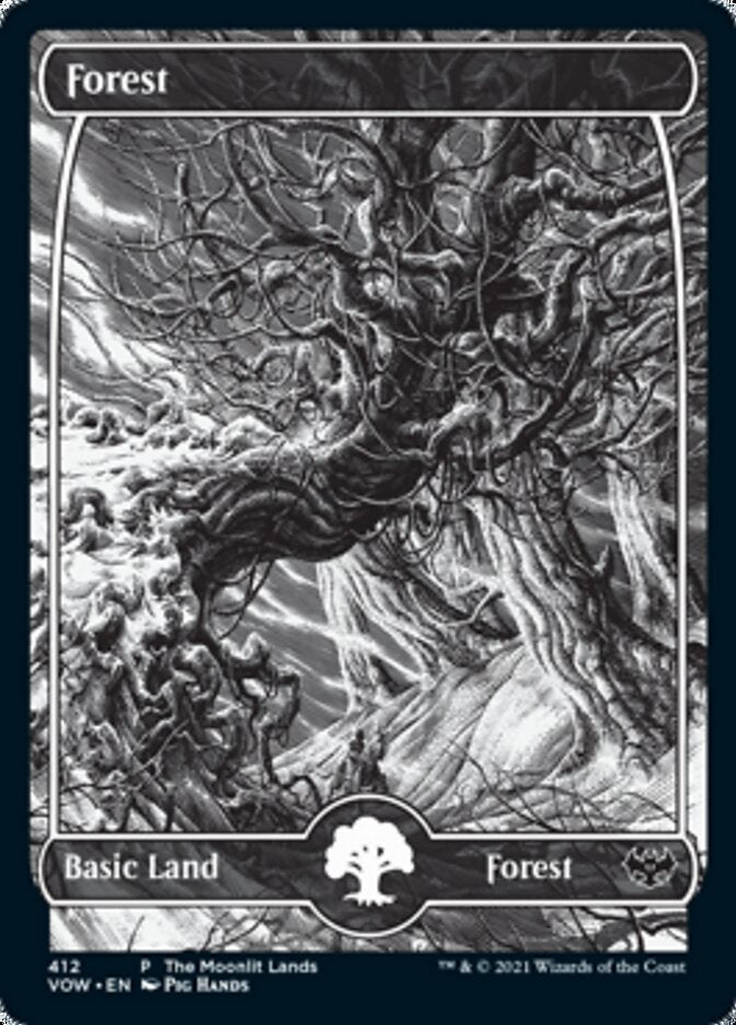 Forest (The Moonlit Lands) (Foil Etched) [Innistrad: Crimson Vow Promos] | Exor Games Truro