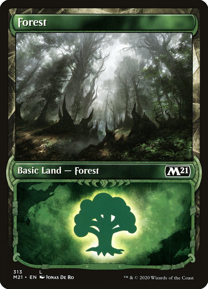 Forest (313) (Showcase) [Core Set 2021] | Exor Games Truro