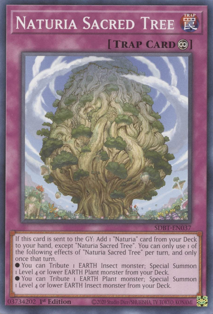 Naturia Sacred Tree [SDBT-EN037] Common | Exor Games Truro