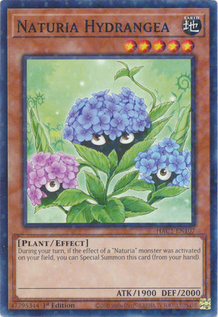 Naturia Hydrangea (Duel Terminal) [HAC1-EN107] Common | Exor Games Truro