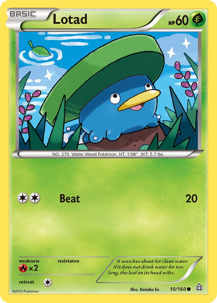 Lotad (10/160) [XY: Primal Clash] | Exor Games Truro