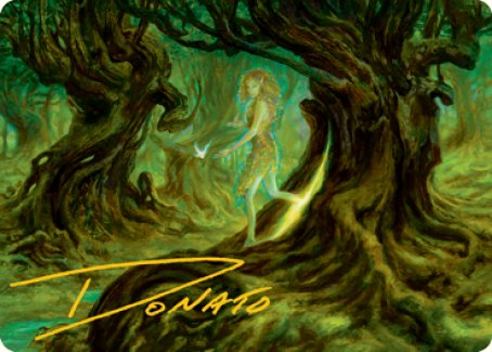 Neverwinter Dryad Art Card (Gold-Stamped Signature) [Dungeons & Dragons: Adventures in the Forgotten Realms Art Series] | Exor Games Truro