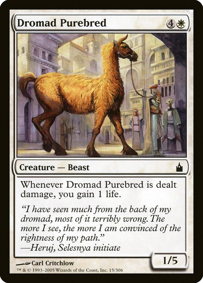 Dromad Purebred [Ravnica: City of Guilds] | Exor Games Truro