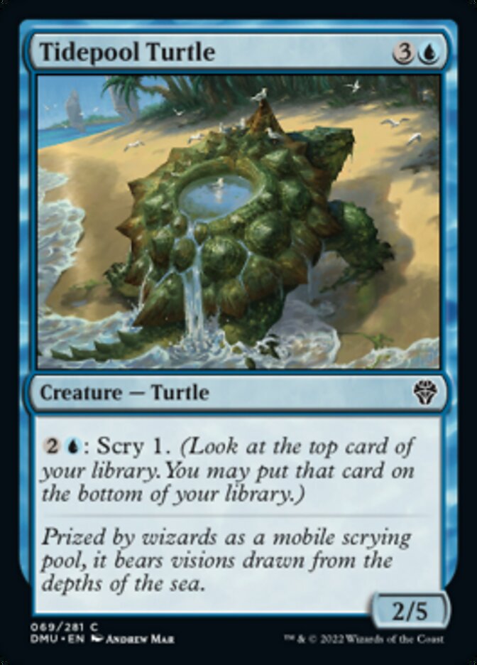 Tidepool Turtle [Dominaria United] | Exor Games Truro