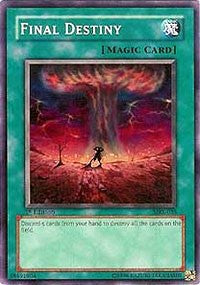 Final Destiny [MRL-035] Common | Exor Games Truro