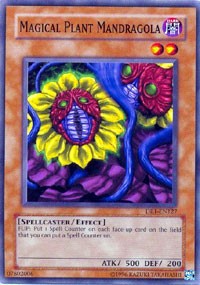 Magical Plant Mandragola [DR1-EN127] Common | Exor Games Truro