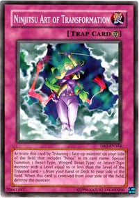 Ninjitsu Art of Transformation [DR2-EN164] Common | Exor Games Truro