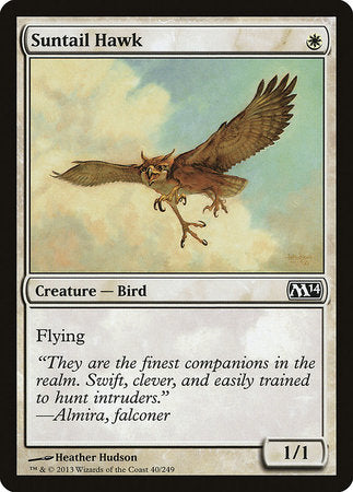 Suntail Hawk [Magic 2014] | Exor Games Truro