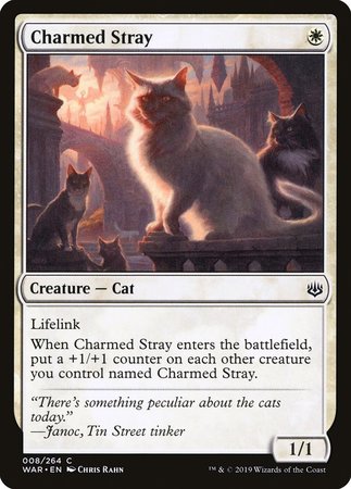 Charmed Stray [War of the Spark] | Exor Games Truro