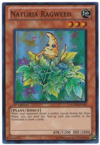 Naturia Ragweed [HA04-EN050] Super Rare | Exor Games Truro