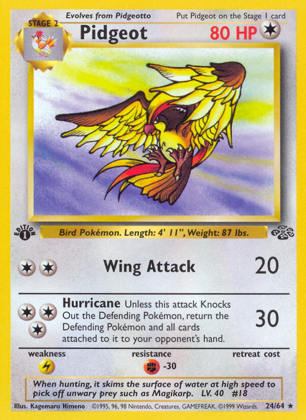 Pidgeot (24/64) [Jungle 1st Edition] | Exor Games Truro