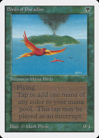 Birds of Paradise [Unlimited Edition] | Exor Games Truro