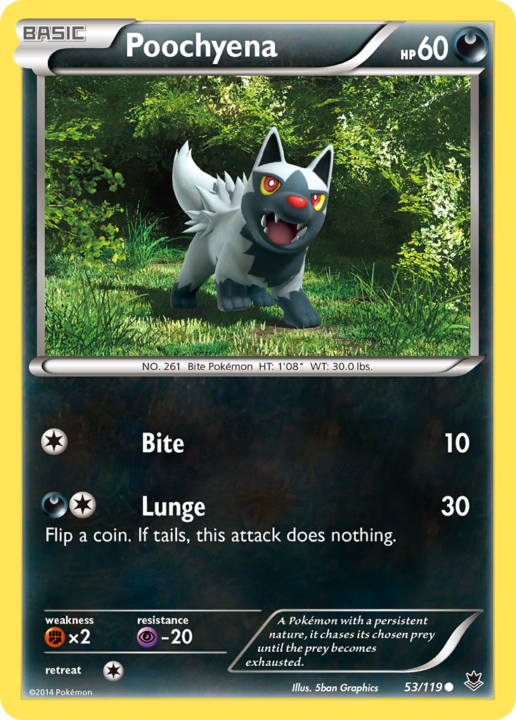 Poochyena (53/119) [XY: Phantom Forces] | Exor Games Truro