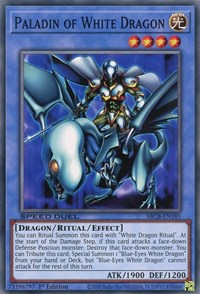 Paladin of White Dragon [SBCB-EN185] Common | Exor Games Truro