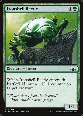 Ironshell Beetle [Guilds of Ravnica] | Exor Games Truro