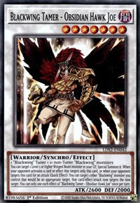 Blackwing Tamer - Obsidian Hawk Joe [LDS2-EN042] Common | Exor Games Truro