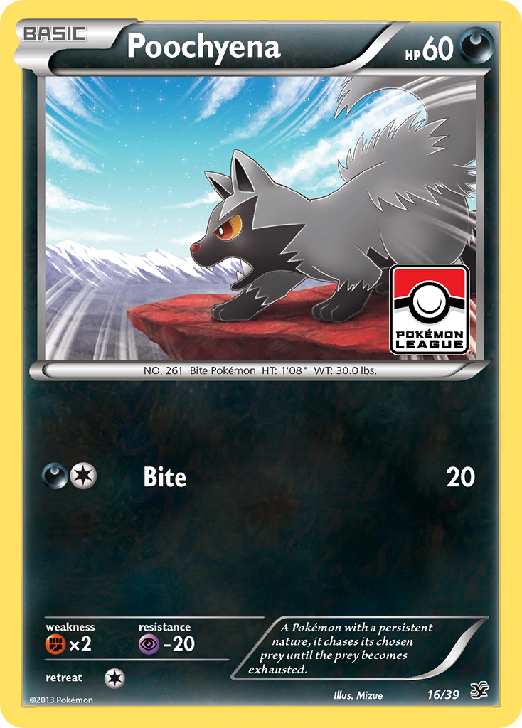 Poochyena (16/39) [XY: Kalos Starter Set] | Exor Games Truro