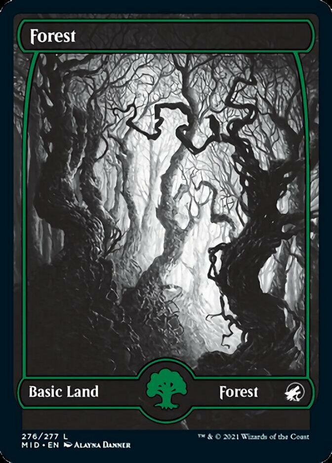 Forest (276) [Innistrad: Midnight Hunt] | Exor Games Truro