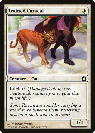 Trained Caracal [Return to Ravnica] | Exor Games Truro